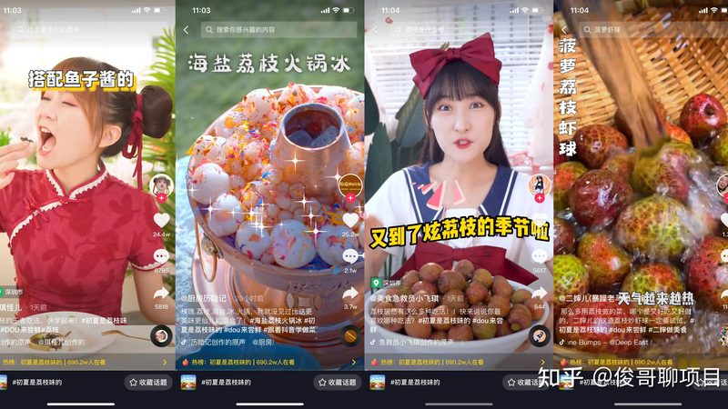 宠物长途搬家陆运托运安全吗